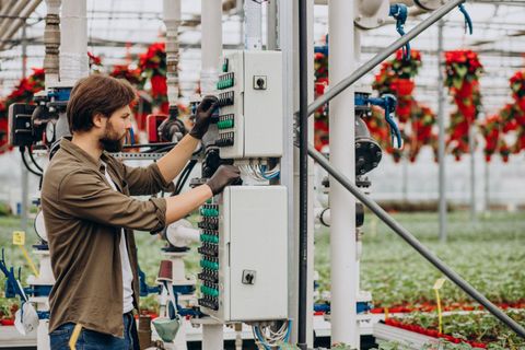 Electric Grid Systems Guide: Learn Power Distribution, Insight, and Details